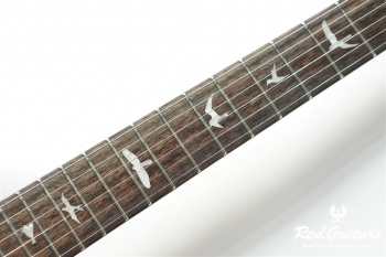 SE Custom 24 - VY